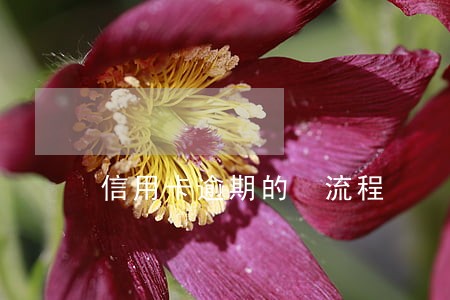 信用卡逾期的 流程 信用卡逾期的 流程